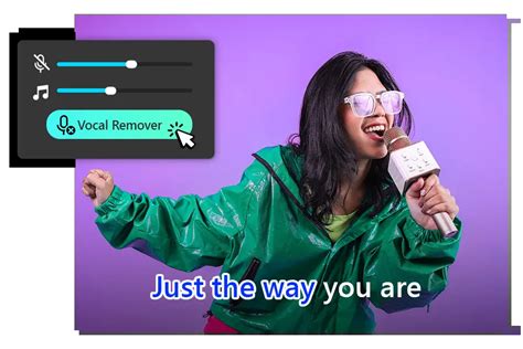 Voice Remover Online: Effortlessly Remove Vocals from Any .